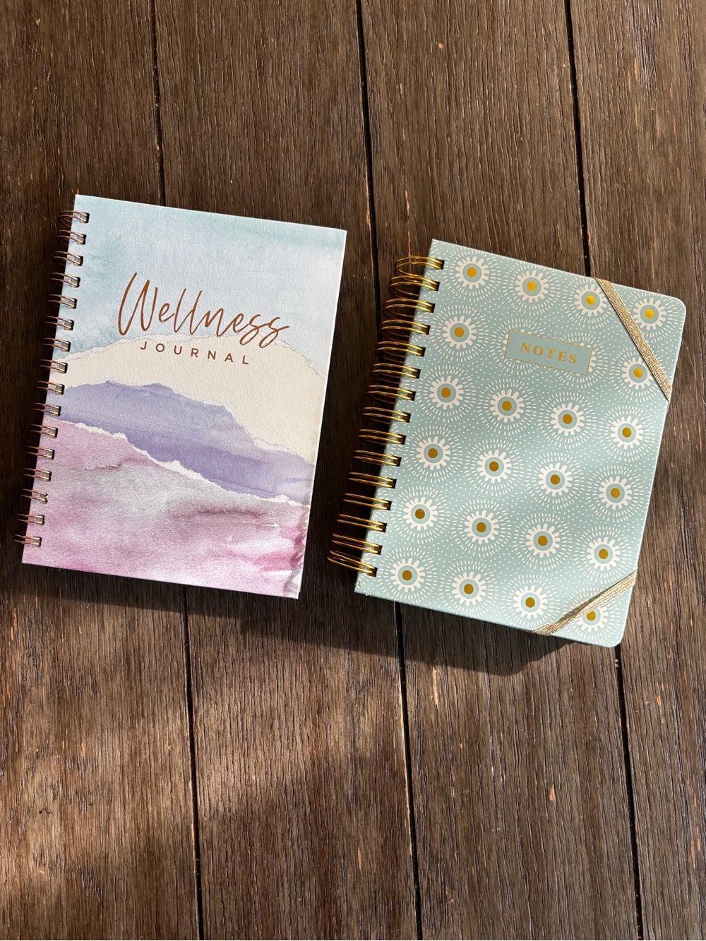 Set of 2 journals / planners